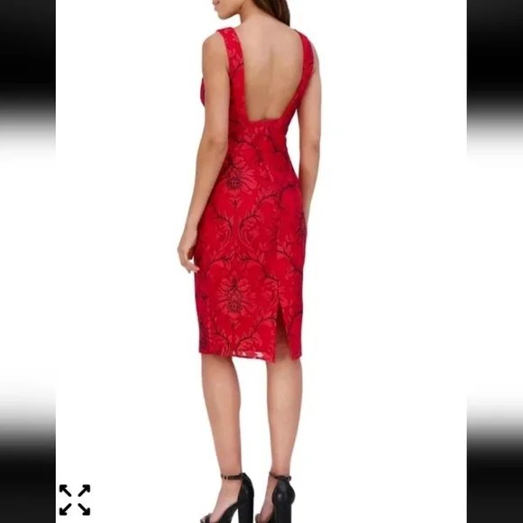 139 Siena V-Neck Dress Sz 10 Women Embroidered-Mesh Sleeveless New Holiday - Picture 2 of 14